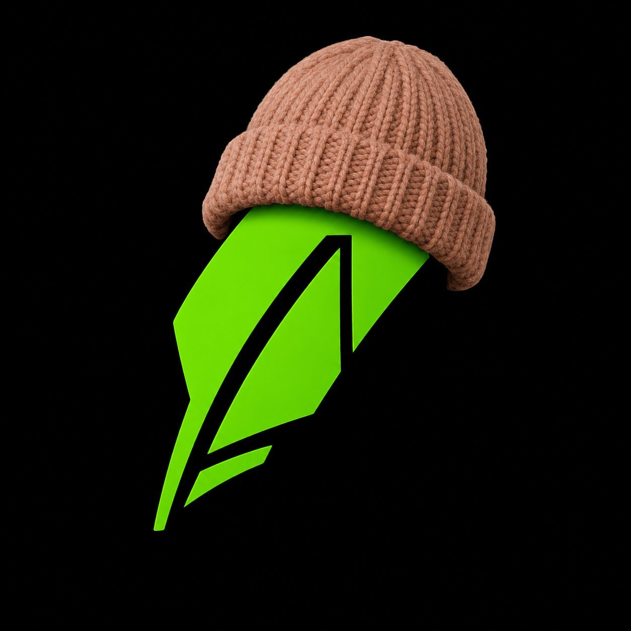 RobinWifHat logo